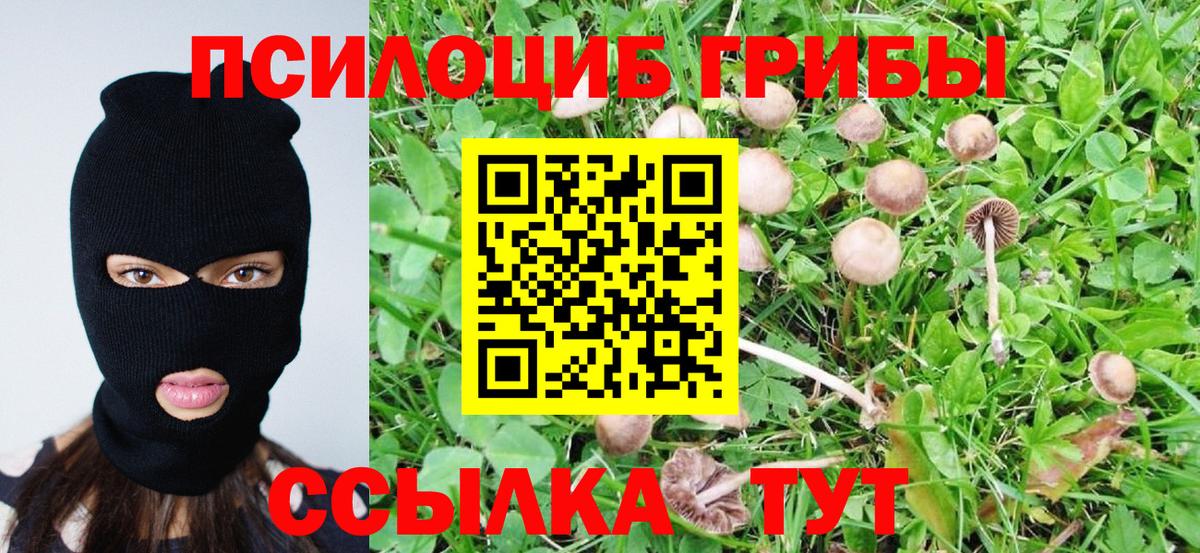 Галлюциногенные грибы мицелий  Галлюциногенные грибы Cubensis  Вход с VPN  Тимашёвск 