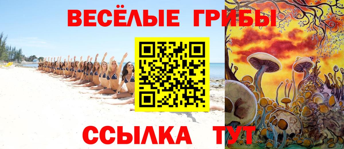 Галлюциногенные грибы ЛСД Тимашёвск