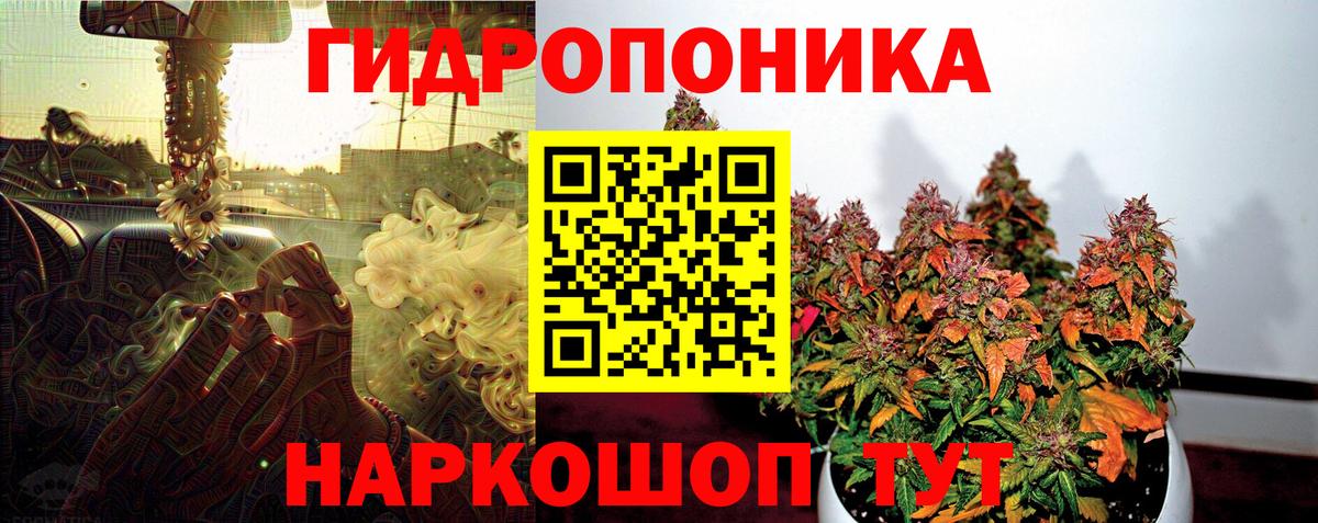 Каннабис конопля  Вход с VPN  Шишки марихуана OG Kush  Шишки марихуана SATIVA & INDICA  Тимашёвск  Канабис LSD WEED 