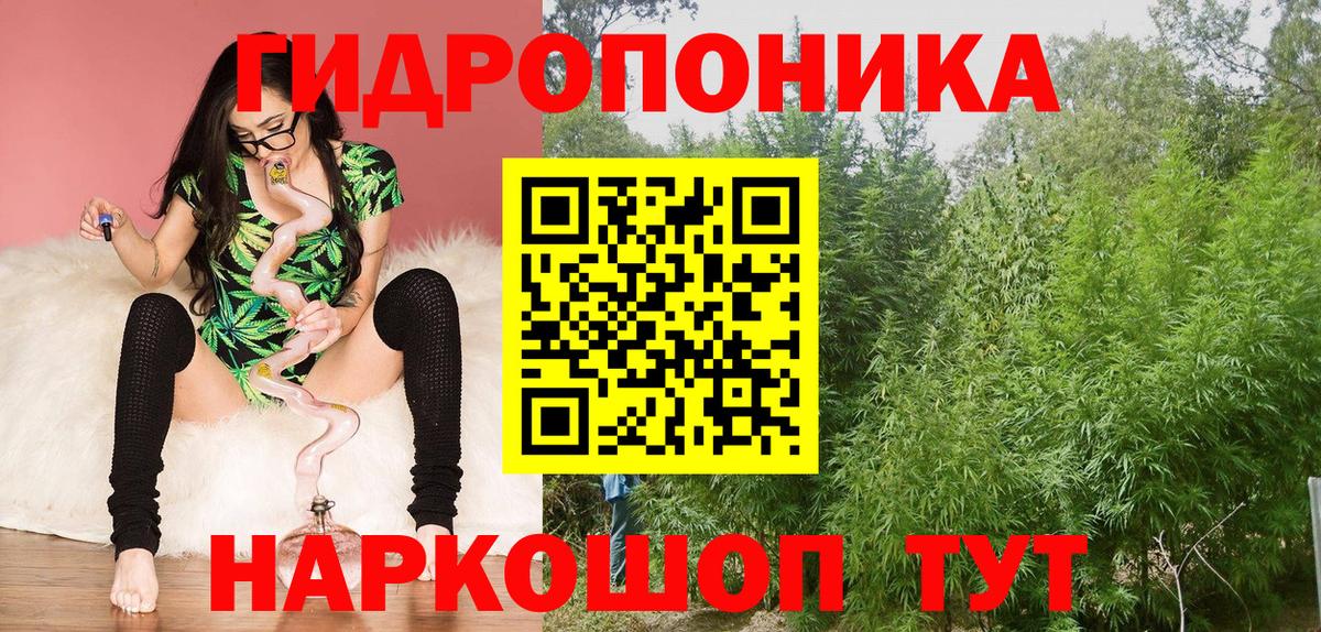 Шишки марихуана MAZAR Тимашёвск